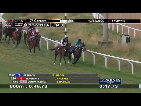 201213 c07 DON PATA (BRZ)