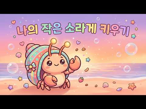 나의 작은 소라게 키우기