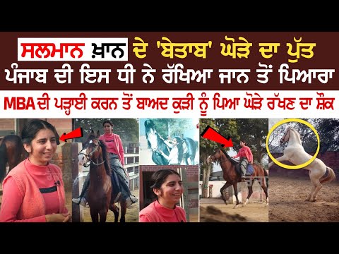 Salman Khan ਦੇ 'ਬੇਤਾਬ' ਘੋੜੇ ਦਾ ਪੁੱਤ ਪੰਜਾਬ ਦੀ ਇਸ ਧੀ ਨੇ ਰੱਖਿਆ ਜਾਨ ਤੋਂ ਪਿਆਰਾ MBA ਦੀ ਪੜ੍ਹਾਈ ਕਰਨ ਤੋਂ ਬਾਅਦ