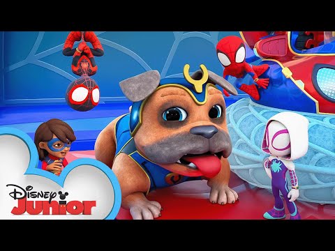 Marvel's Spidey and his Amazing Friends S3 Short 1 | The New WQ |@disneyjrx @MarvelHQ