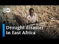 Drought in Africa: Zambia, Malawi and Zimbabwe declare state of disaster | DW News