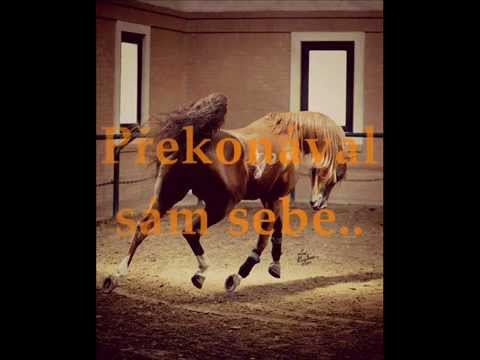 Koně taky mají právo žít ;)