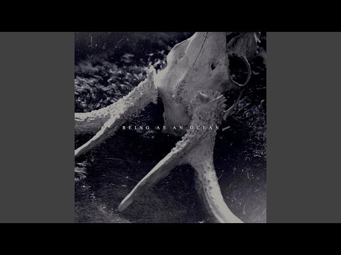 Humble Servant, Am I - Being as an Ocean