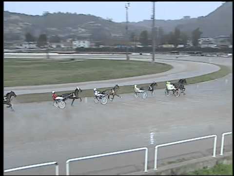 Trotto 05/02/2015 - 3° corsa