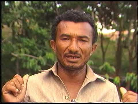 Salustiano, The King of Maracatu - 1985
