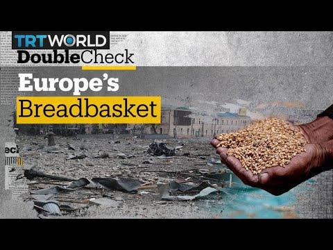 Is Ukraine Europe’s breadbasket no more?