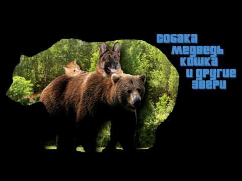 MAIN THEME GTA 6 ЛУЧШАЯ ПЕСНЯ В МИРЕ СЫЕНДУК 1 ЧАС КОНСОСЬ ПОКЕМОНЫ