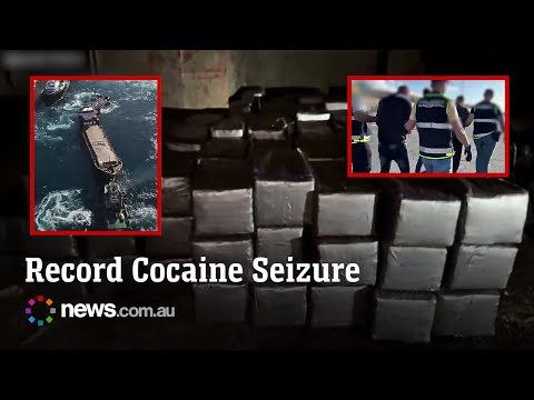 Spanish police seize tonnes of cocaine hidden in salt shipment