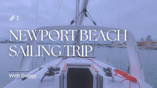 【Newport Beach】シアトルからニューポートビーチへ犬とお出かけVlog【趣味のセーリング時間】