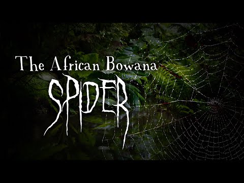"The African Bowana Spider" by Vincent V. Cava | From "Decomposing Head" | creepy arachnophobia tale