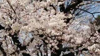 You Can&#39;t Say (You Don&#39;t Love Me Anymore)