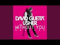Without You (feat.Usher) (R3hab's XS Remix)