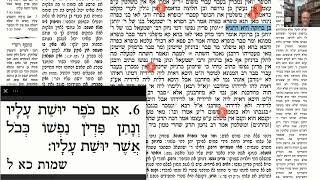 דף יומי מסכת מכות דף ב Daf yomi Masechet Sanhedrin page ע"י יוני גוטמן (שיעורי הדף היומי ב-20 דקות – מועבר ע"י ר' יוני גוטמן – לעילוי נשמת אביו ר' אלימלך צבי (צביקה) גוטמן ז"ל) - התמונה מוצגת ישירות מתוך אתר האינטרנט יוטיוב. זכויות היוצרים בתמונה שייכות ליוצרה. קישור קרדיט למקור התוכן נמצא בתוך דף הסרטון