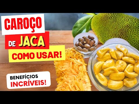 7 Incríveis BENEFÍCIOS do CAROÇO DE JACA e COMO USAR - Receitas e Dicas