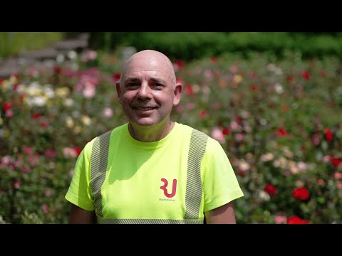 Arbeiten bei der Stadt Rapperswil-Jona