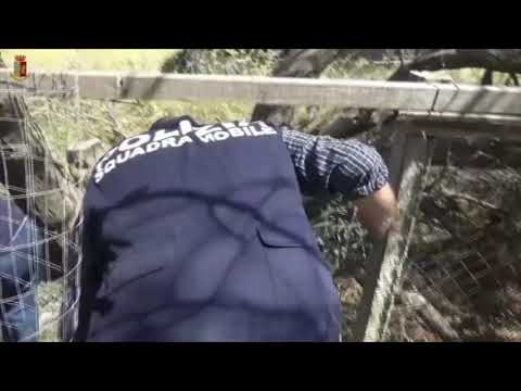 Ragusa, usa la figlia 13enne per guadagnare soldi: arrestata