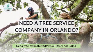 Hazardous Tree Removal Service | Best Tree Company in Orlando, FL