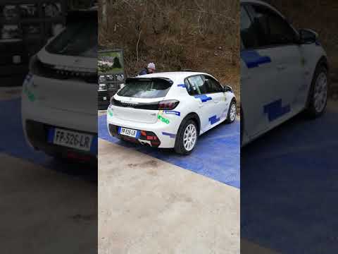 Peugeot 208 Rally4 test