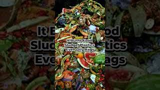 Cruise Food Waste. Where does it go? #CruiseNews #SustainableTravel #EcoCruise #TravelFacts