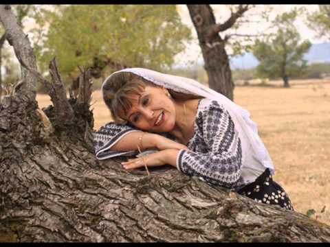 Anica Gantu - La fantana parasita