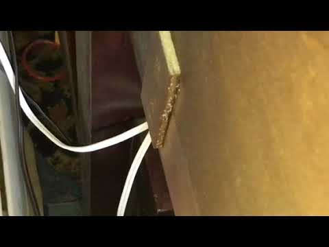 Bed bug eggs hiding in Marlboro, NJ