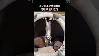 이건또 뭐얔 ㅋ