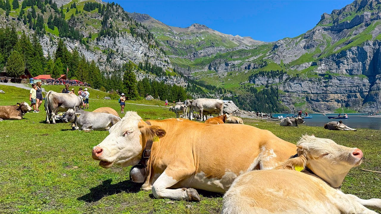 Experience a virtual trek to enchanting Oeschinen Lake.