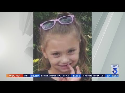 4-year-old girl reported missing in 2019 found alive in ‘small’ space under stairs of N.Y. home