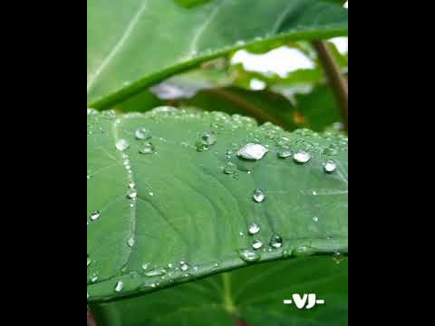 Alone ( Emotional ) VJ Creation.Kerala