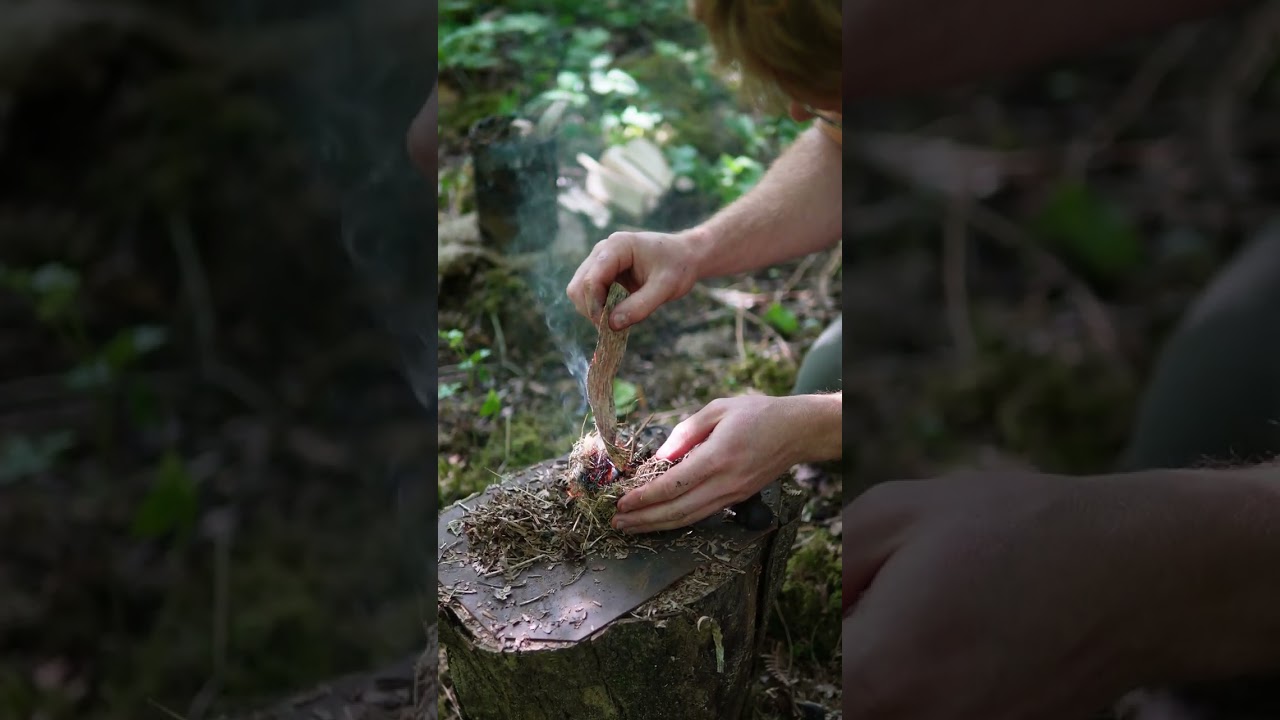 Bramble Tea in the Woods with the FF Nesting Stoves