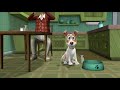 Twisted Whiskers Clip Jack Totally PWNS His Owner With A Sandwich In Real Time REDDIT MOMENT