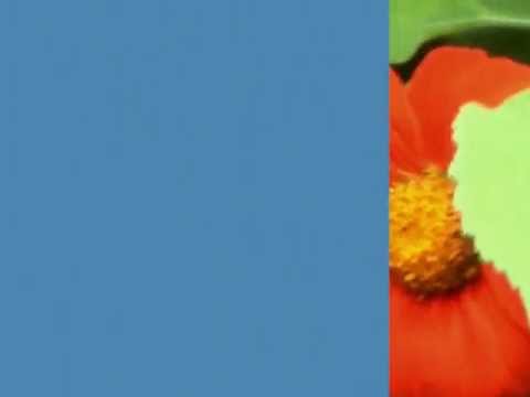 sobota feat chór montu ,, do góry łeb"