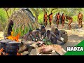 Hadzabe Tribe Catch Cooking Big Antelope | hadza made it again