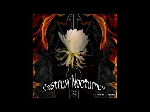 Acid Tricks - Full Trip Sessions