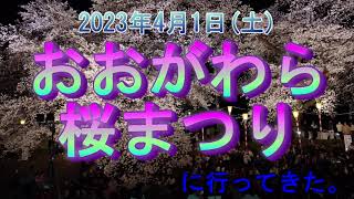 令和5年おおがわら桜まつりに行ってきた。