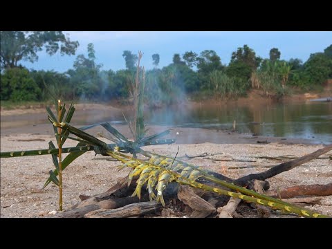 Grilled Fish with Yellow Spices by the River Will Make You Hungry!!!