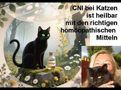 Cat homeopath: Curing chronic kidney disease (CKD) in cats without medication, using homeopathy