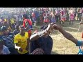 LIMBU LUCHAGULA SHOW Kalisana TABOLA 2022