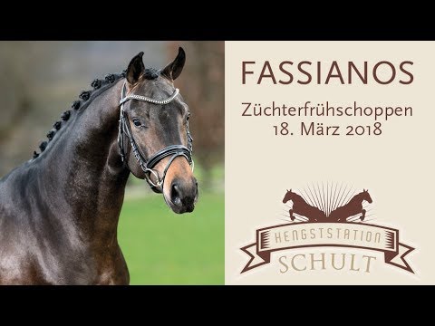 Fassianos Hengst v. For Romance I - St. Moritz