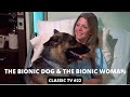 The Bionic Woman And The Bionic Dog Extended Trailer Lindsay Wagner