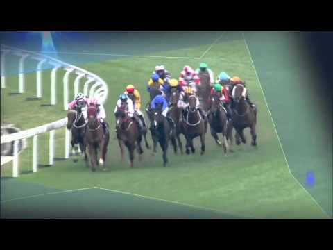 [HKIR] LONGINES Hong Kong Mile Highlight