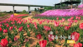 Spring of gongju City 이미지
