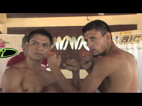 BUFALO CON OTRA CARTELERA