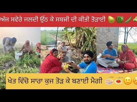 ਅੱਜ ਆਪਣੇ ਖੇਤ ਵਿੱਚੋ ਸਾਰਾ ਕੁਜ ਤੋੜ ਕੇ ਖੇਤ ਬਣਾਈ ਮੈਗੀ 🍜🍝🥰🌶️🍅🧅#happyfarminglife #vlog 