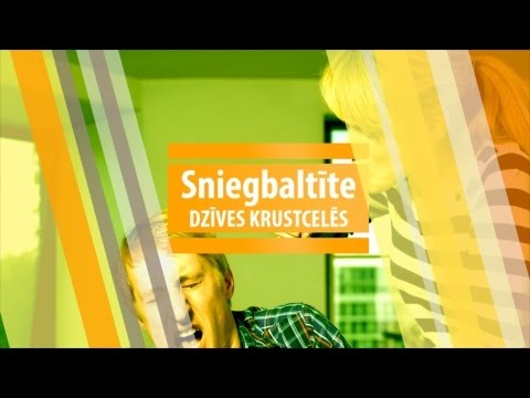 Sniegbaltīte dzīves krustcelēs