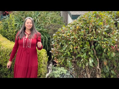 Carmel Fireplace Inn Hotell