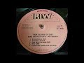 Mad Professor And Jah Shaka  - Chanting Down The Wicked  (Ariwa)