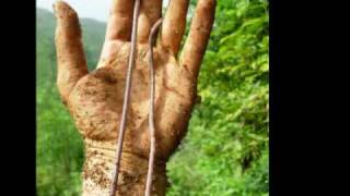 wampas verre de terre.wmv