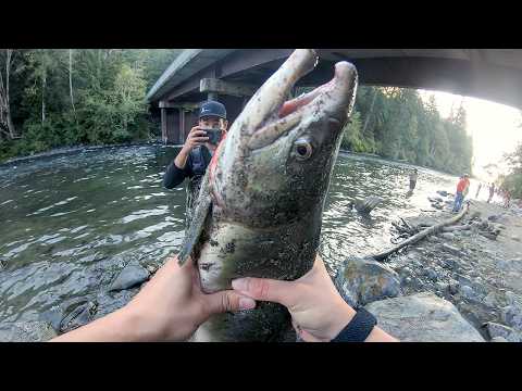 Fishing the Campbell River Salmon Run l Catch & Cook Camp