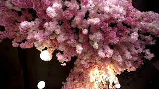 B301/359 Illawarra Road (Access via Byrnes St), MARRICKVILLE, NSW 2204